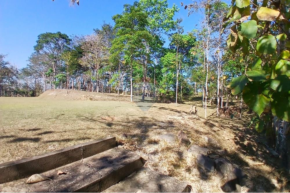 Chácara / Sítio / Fazenda - Venda - Jaru , Rondônia - 20250722_091922.jpg - 721551076-205