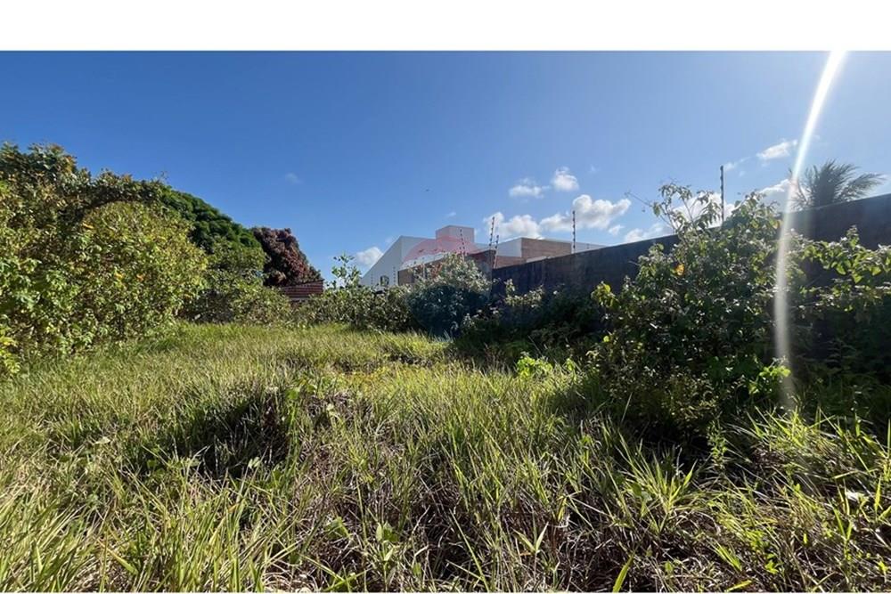 Terreno - Venda - Conde , Paraíba - WhatsApp Image 2025-10-16 at 14.18.36 (3).jpeg - 720871004-214