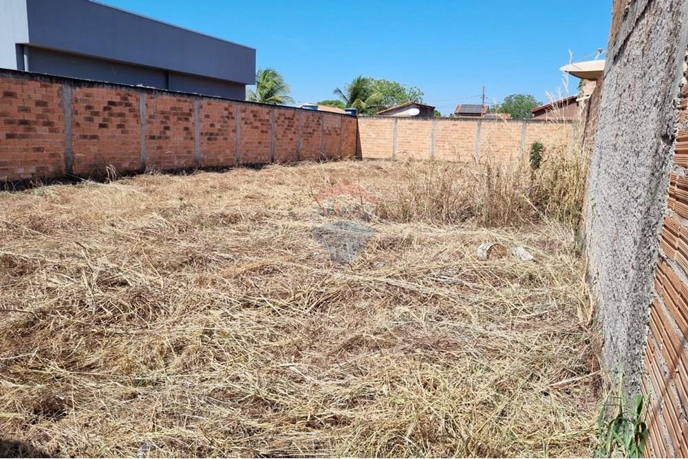 Terreno - Venda - Confresa , Mato Grosso - IMG-20250801-WA0027.jpg - 720641046-1