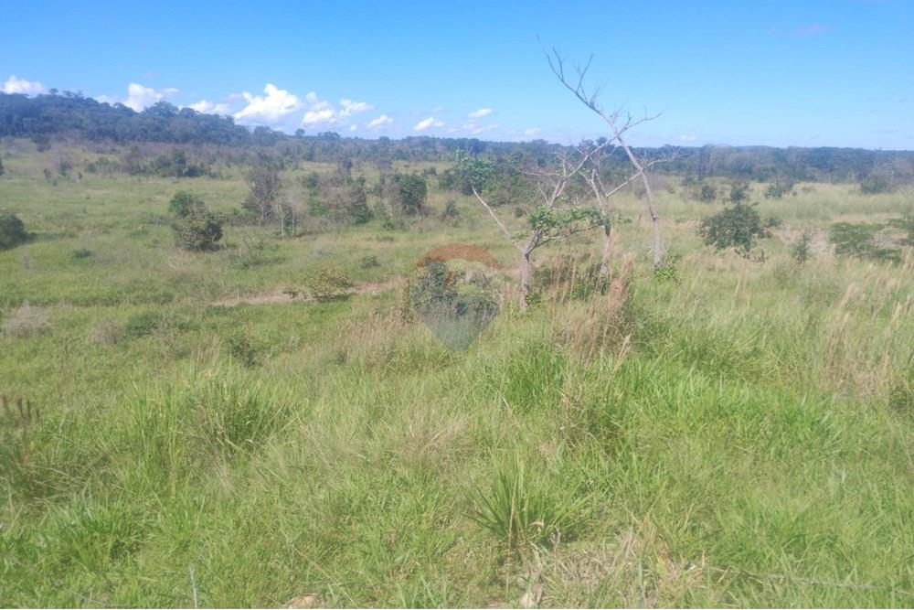 Chácara / Sítio / Fazenda - Venda - Confresa , Mato Grosso - IMG-20250926-WA0029.jpg - 720641046-10