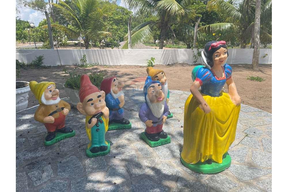 Chácara / Sítio / Fazenda - Venda - Conde , Paraíba - WhatsApp Image 2024-02-02 at 13.16.07.jpeg - 720871004-212