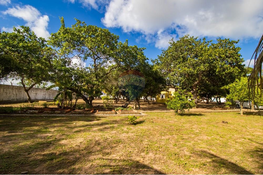 Chácara / Sítio / Fazenda - Venda - Nísia Floresta , Rio Grande do Norte - IMG_8457.jpg - 720891106-33
