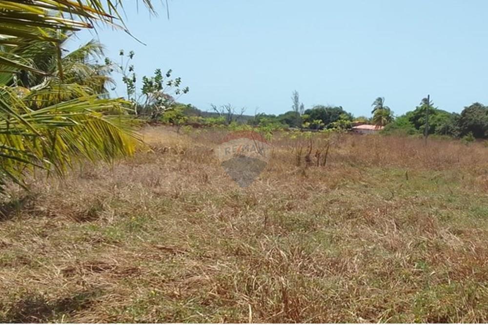 Terreno - Venda - Beberibe , Ceará - WhatsApp Image 2025-09-10 at 11.55.40 (3).jpeg - 721621165-53