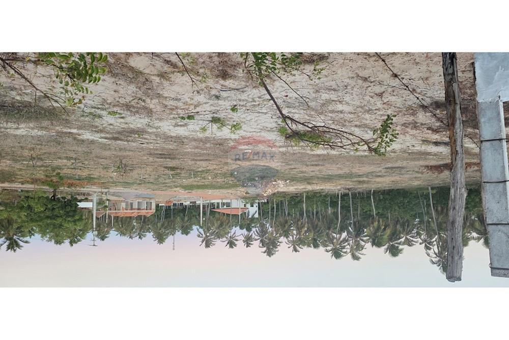 Terreno - Venda - Trairi , Ceará - 1000193879.jpg - 722341001-102
