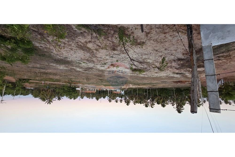 Terreno - Venda - Trairi , Ceará - 1000193871.jpg - 722341001-102