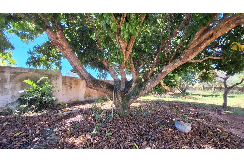 Chácara / Sítio / Fazenda - Venda - Nísia Floresta , Rio Grande do Norte - Imagem do WhatsApp de 2025-04-28 à(s) 09.34.21_870296da.jpg - 720891106-38