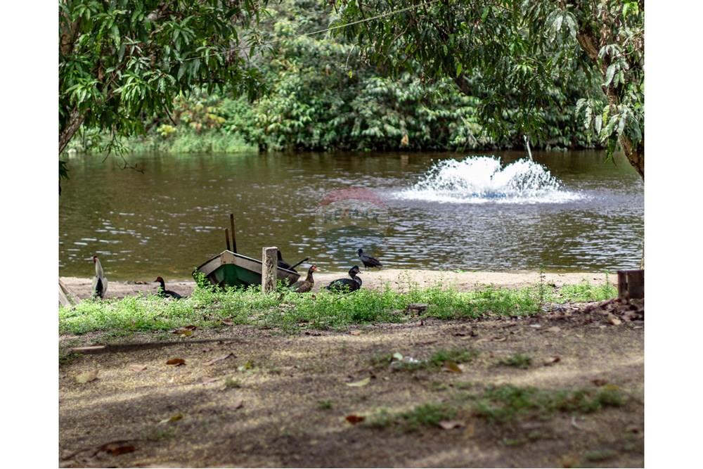 Chácara / Sítio / Fazenda - Venda - Novo Airão , Amazonas - IMG_7480.jpg - 720721055-29
