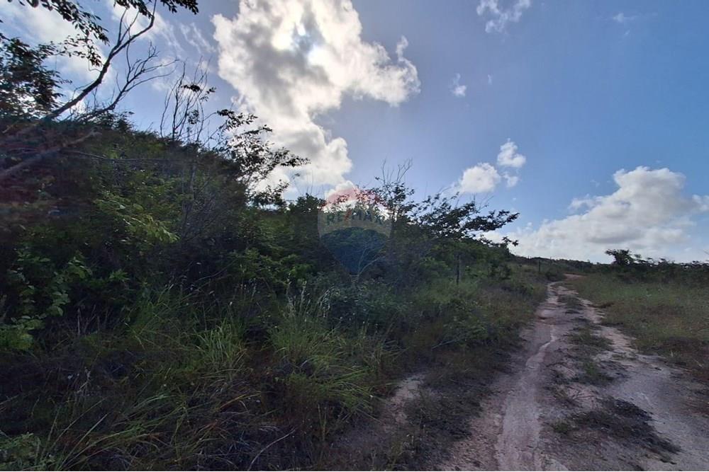 Terreno - Venda - Pitimbu , Paraíba - 533ac5f5-6143-4cfa-88d1-3b163c5114ee.jpg - 720871044-59