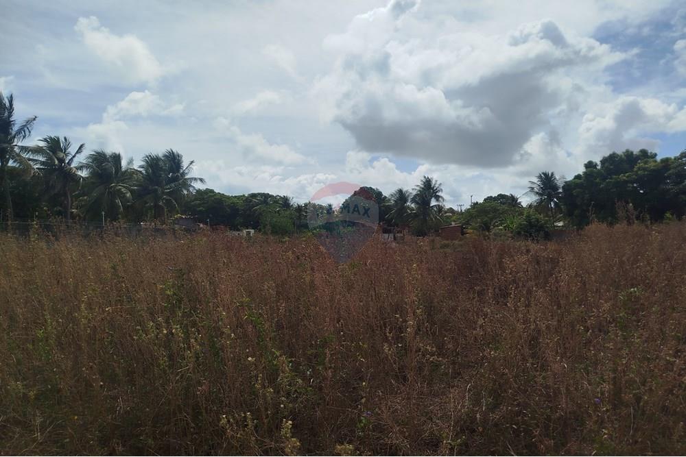 Terreno - Venda - Nísia Floresta , Rio Grande do Norte - WhatsApp Image 2024-11-22 at 21.32.42 (1).jpeg - 720891013-74