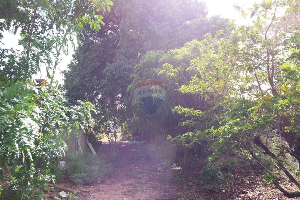 Terreno - Venda - Natal , Rio Grande do Norte - DSCF2370.JPG - 720891130-142