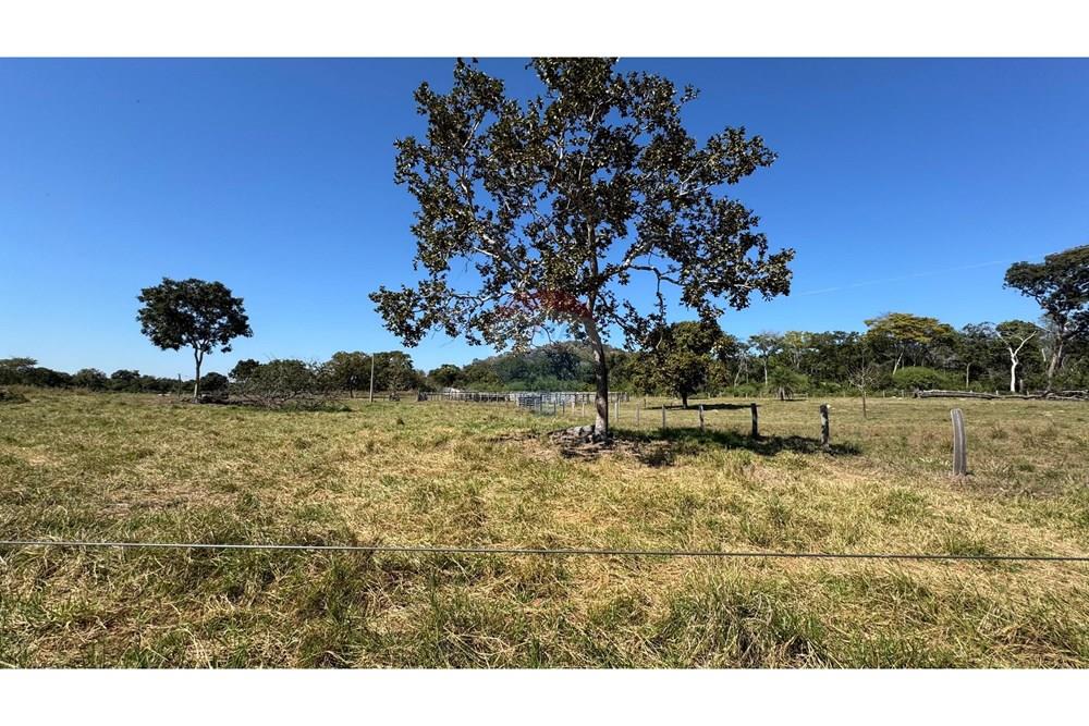 Fazenda - Venda - Santo Antônio do Leverger , Mato Grosso - 292a3dc7-007e-4c15-b5c1-589b212c22e0 (1).jpeg - 720611035-41