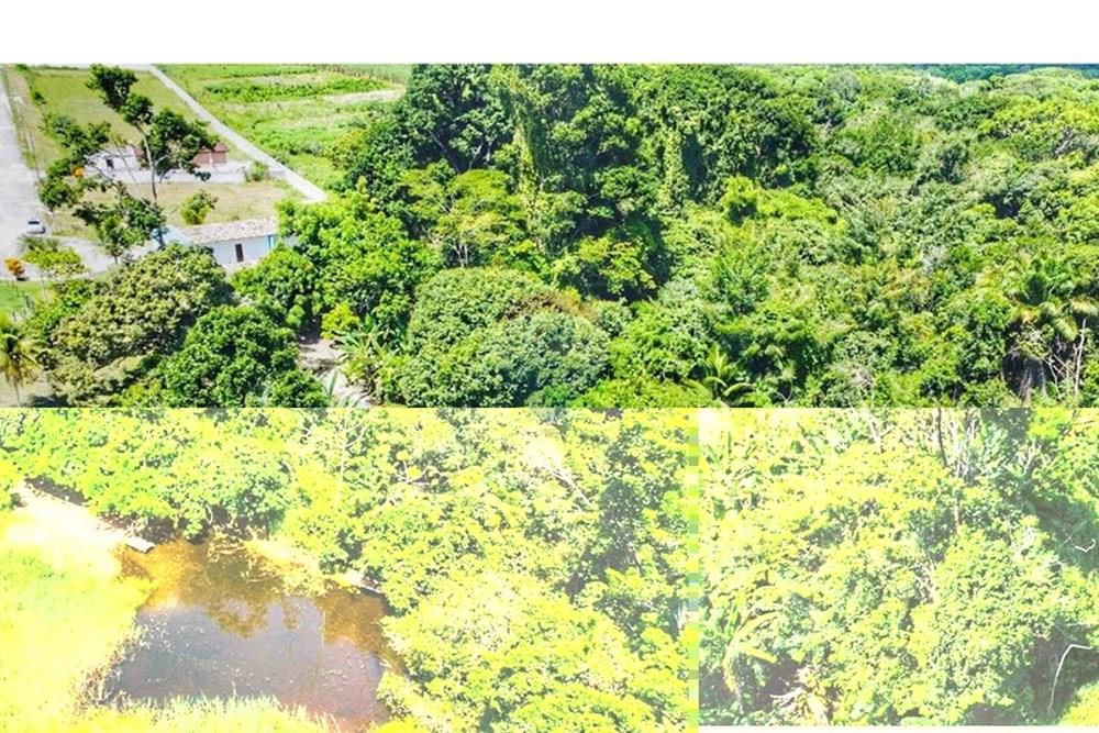 Terreno - Venda - Conde , Paraíba - WhatsApp Image 2024-07-24 at 15.40.01.jpeg - 720871004-166