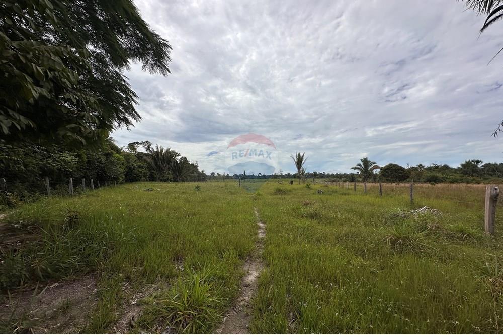 Fazenda - Venda - Itapuã do Oeste , Rondônia - IMG_0350.JPG - 721551004-289