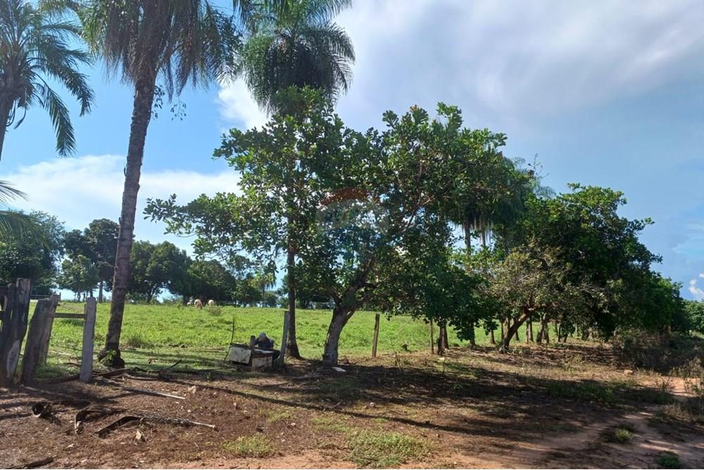 Chácara / Sítio / Fazenda - Venda - São José do Povo , Mato Grosso - WhatsApp Image 2025-04-03 at 17.01.45 (2).jpeg - 722261017-2