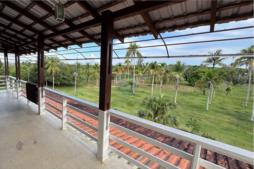 Chácara / Sítio / Fazenda - Venda - Iranduba , Amazonas - IMG_6217.jpg - 722101004-61