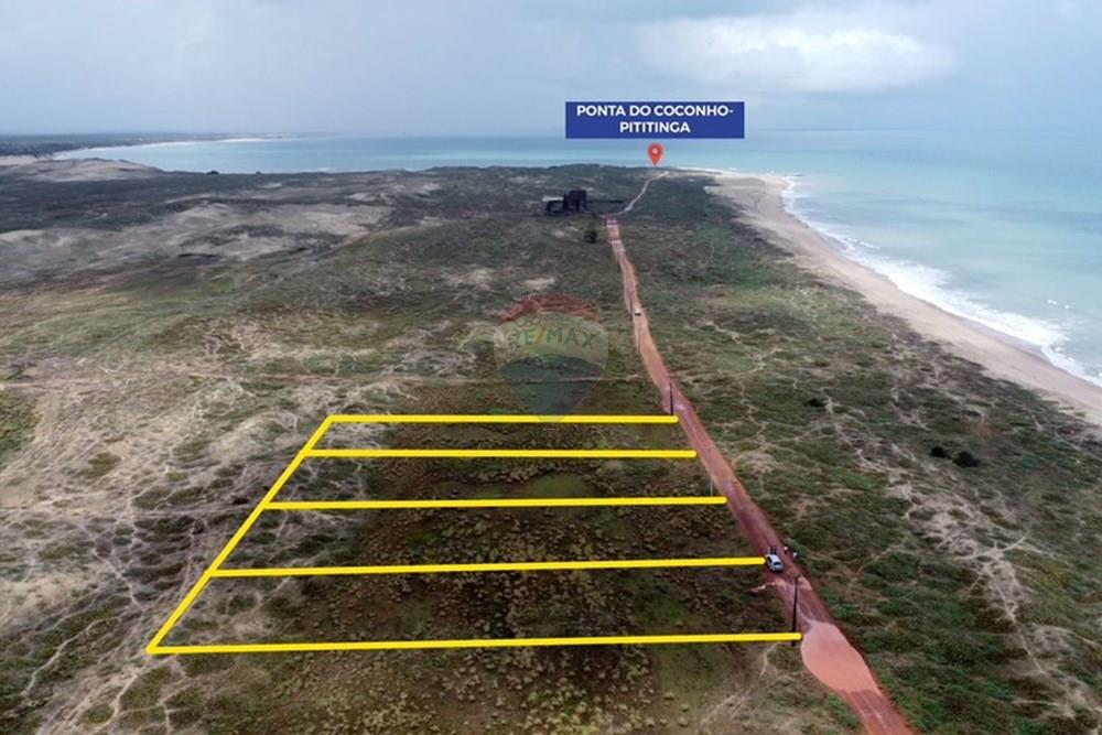 Terreno - Venda - Maxaranguape , Rio Grande do Norte - WhatsApp Image 2025-01-31 at 18.12.43 (2).jpeg - 720891001-123