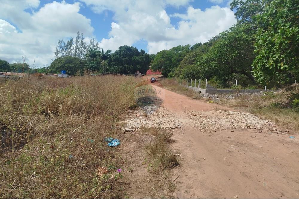 Terreno - Venda - Nísia Floresta , Rio Grande do Norte - WhatsApp Image 2024-11-22 at 21.32.30.jpeg - 720891013-74