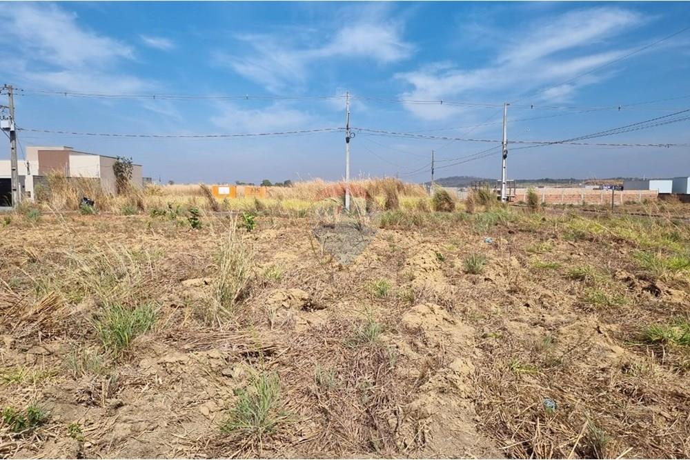 Terreno - Venda - Confresa , Mato Grosso - IMG-20250915-WA0038.jpg - 720641046-6