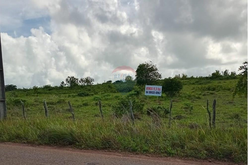 Terreno - Venda - Tibau do Sul , Rio Grande do Norte - LuizArea20.jpeg - 720891150-73