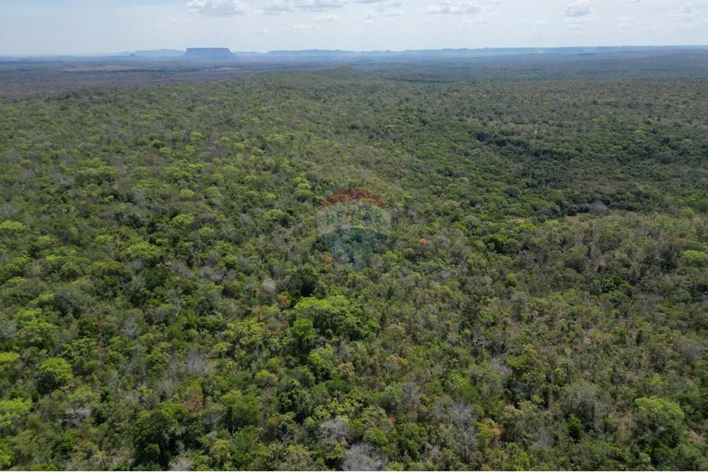 Agro - Venda - Carolina , Maranhão - WhatsApp Image 2025-08-28 at 17.45.08 (1).jpeg - 720991042-3