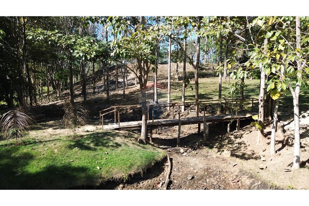 Chácara / Sítio / Fazenda - Venda - Jaru , Rondônia - DJI_0385.JPG - 721551076-205