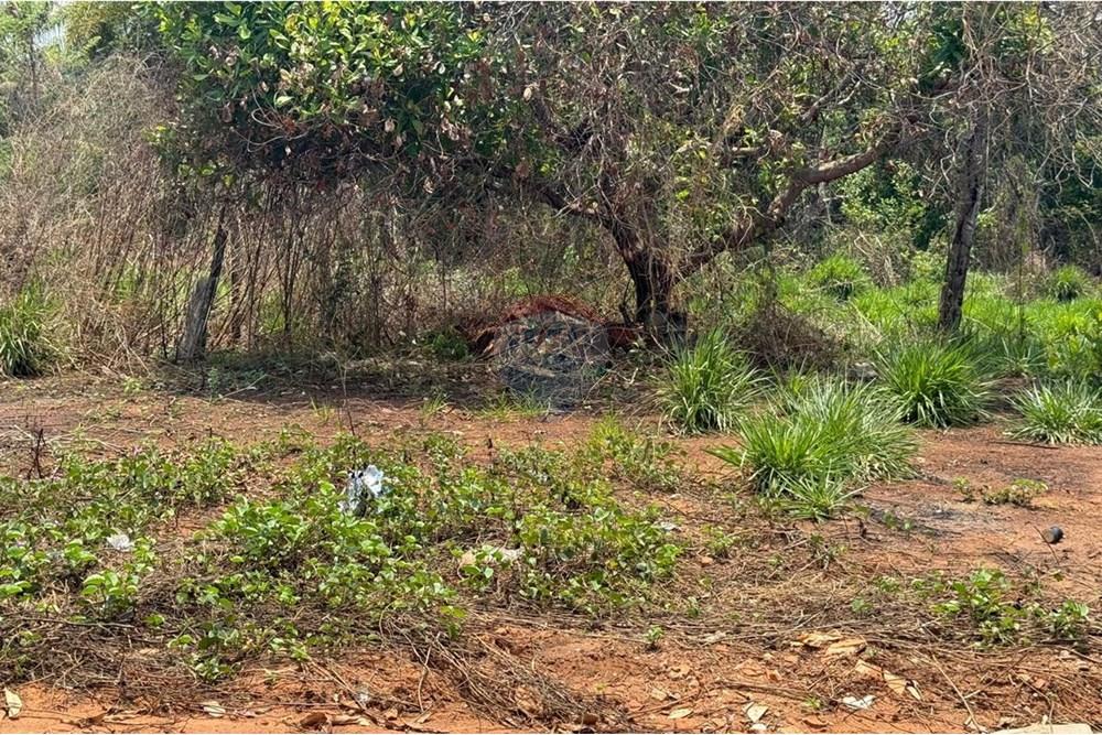 Terreno - Venda - Araguaína , Tocantins - WhatsApp Image 2024-11-29 at 17.45.36 (4).jpeg - 722171003-95