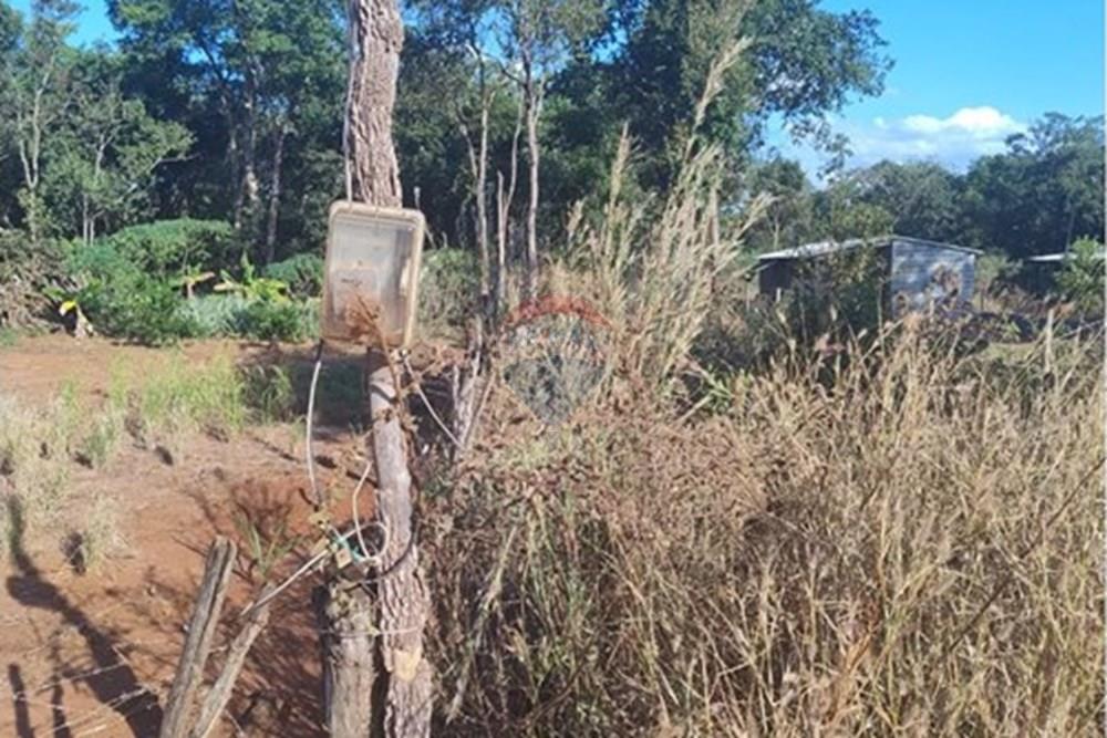 Terreno - Venda - Aparecida do Rio Doce , Goiás - Imagem do WhatsApp de 2025-06-21 à(s) 06.54.40_9de8ce67.jpg - 722291014-100