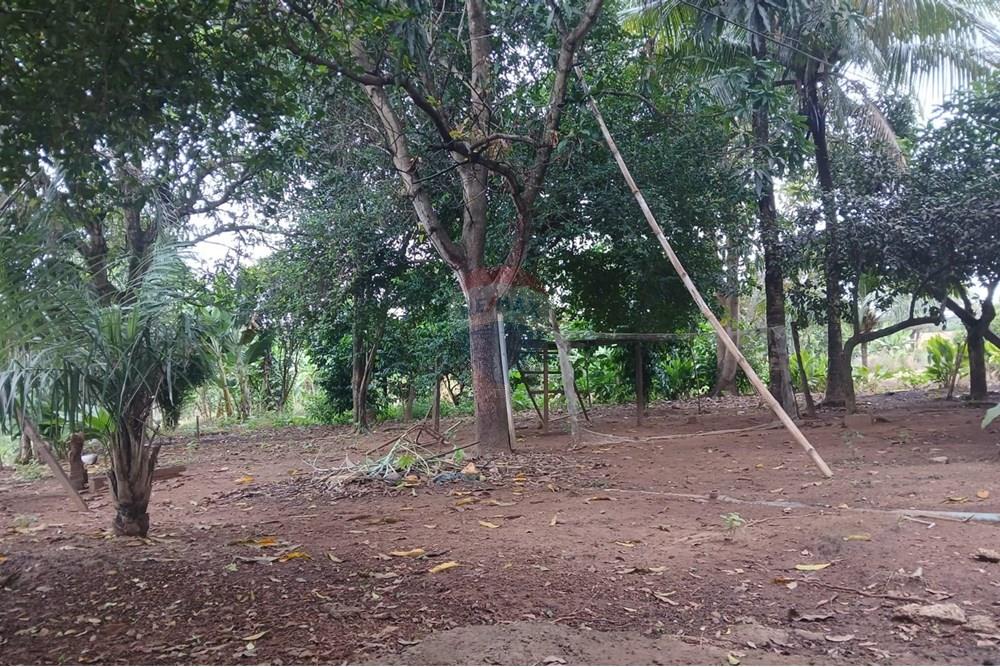 Chácara / Sítio / Fazenda - Venda - Rondonópolis , Mato Grosso - WhatsApp Image 2025-05-12 at 16.29.59.jpeg - 720611007-92