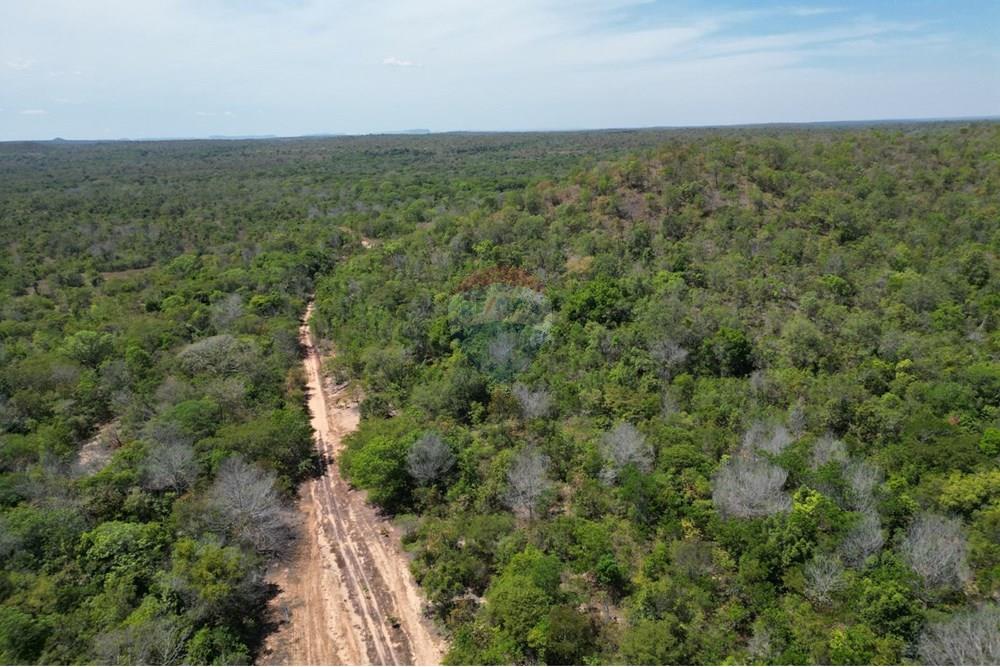 Agro - Venda - Carolina , Maranhão - WhatsApp Image 2025-08-28 at 17.44.57.jpeg - 720991042-3