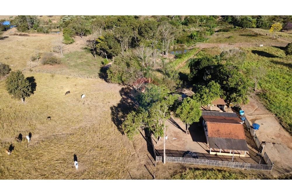 Chácara / Sítio / Fazenda - Venda - Rondonópolis , Mato Grosso - WhatsApp Image 2025-08-16 at 20.50.01.jpeg - 720561081-77