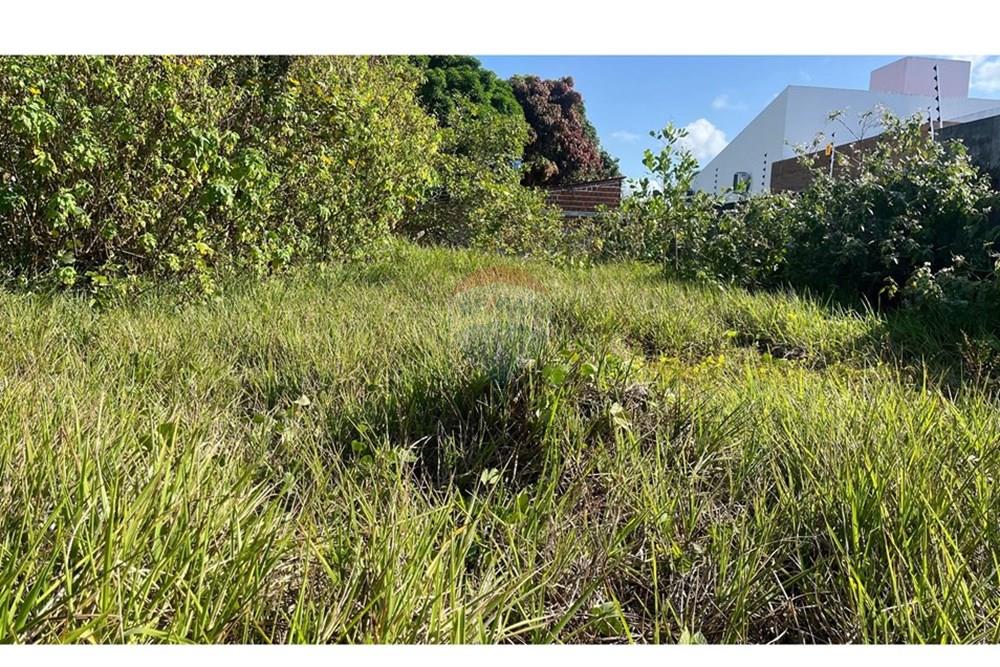 Terreno - Venda - Conde , Paraíba - WhatsApp Image 2025-10-16 at 14.18.38.jpeg - 720871004-214