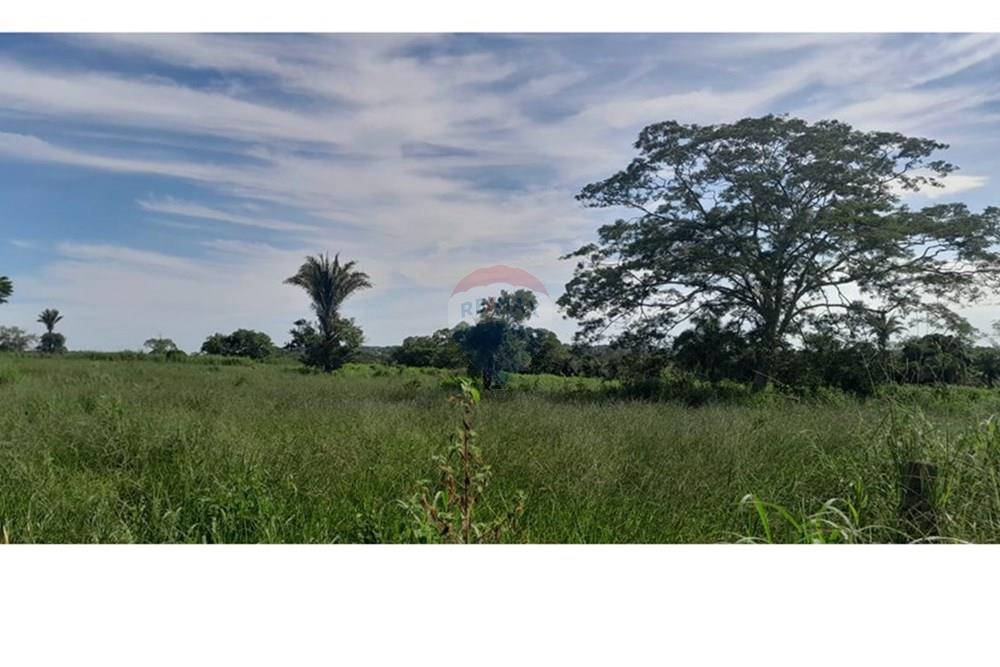 Chácara / Sítio / Fazenda - Venda - Rondonópolis , Mato Grosso - WhatsApp Image 2025-03-27 at 10.49.33.jpeg - Fachada - 720611057-13