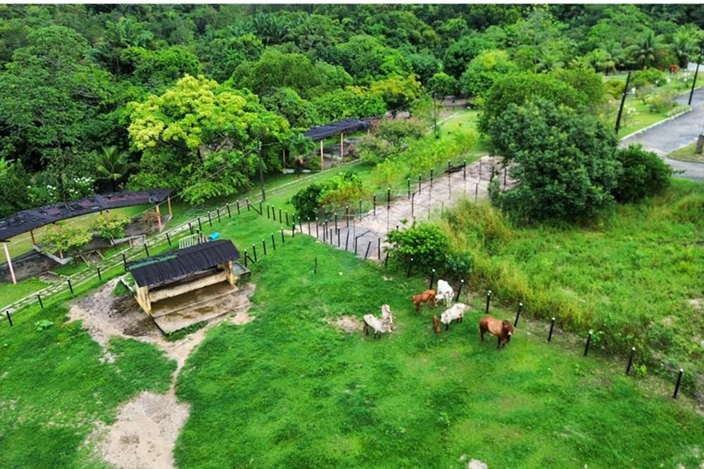Terreno - Venda - Conde , Paraíba - dji_fly_20250521_065226_314_1747821384401_photo_optimized.jpg - 720871050-27
