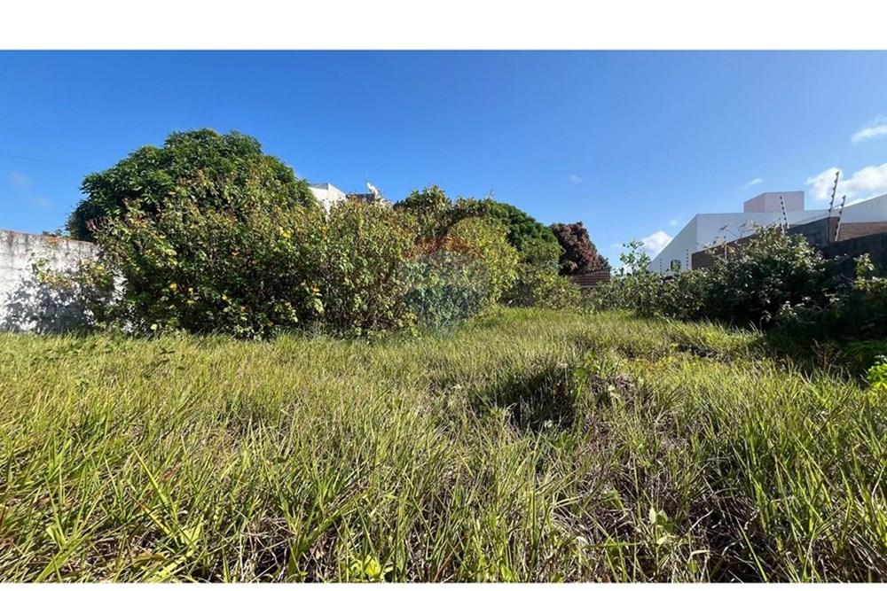 Terreno - Venda - Conde , Paraíba - WhatsApp Image 2025-10-16 at 14.18.36.jpeg - 720871004-214