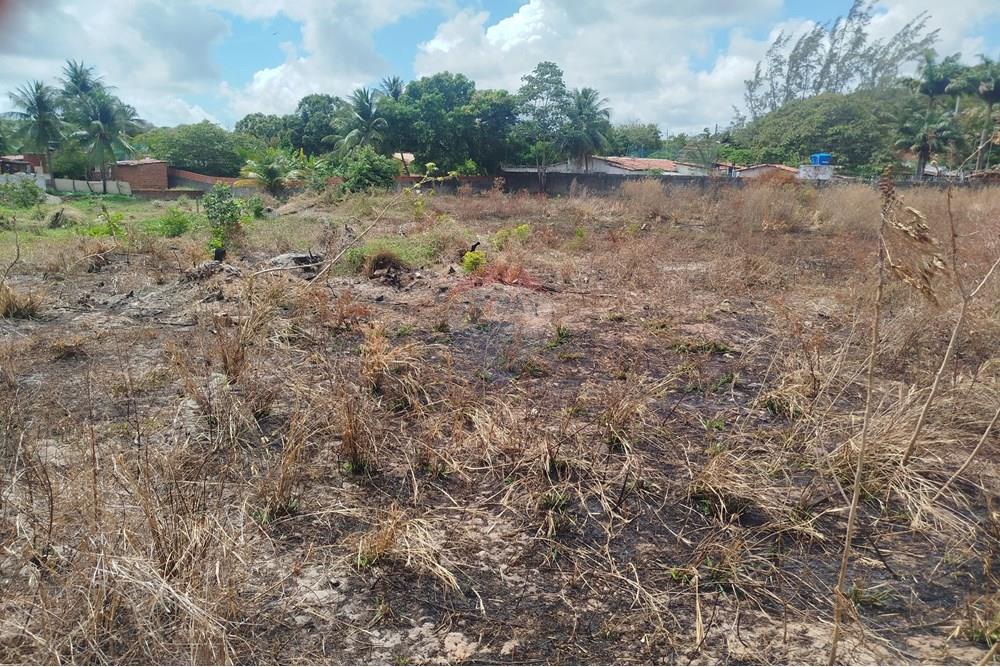 Terreno - Venda - Nísia Floresta , Rio Grande do Norte - WhatsApp Image 2024-11-22 at 21.32.39 (2).jpeg - 720891013-74
