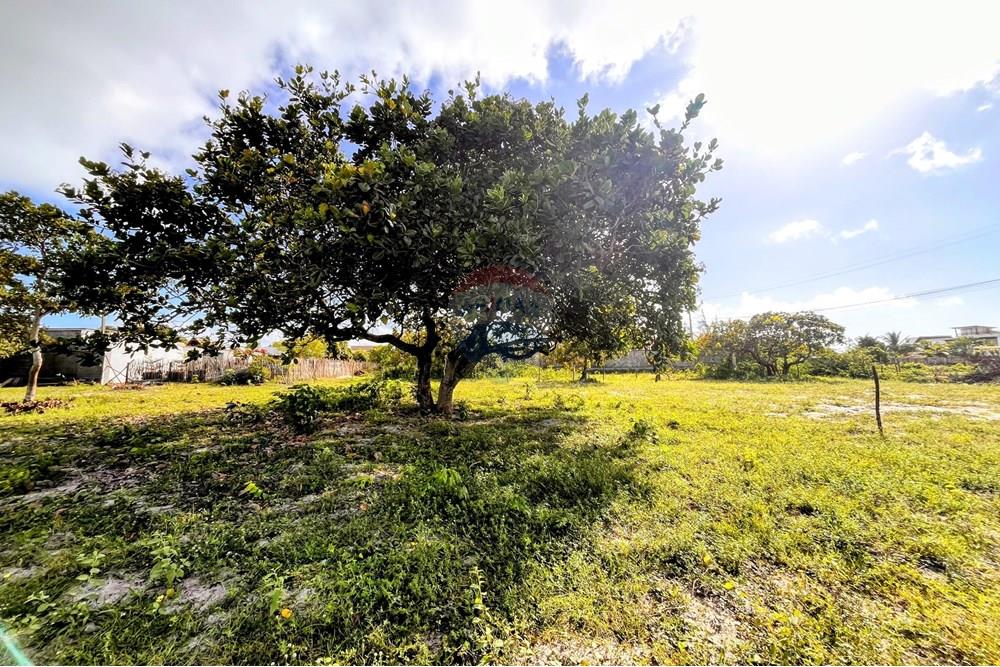 Terreno - Venda - São Miguel do Gostoso , Rio Grande do Norte - WhatsApp Image 2025-06-28 at 09.43.34 (4).jpeg - 720891024-210