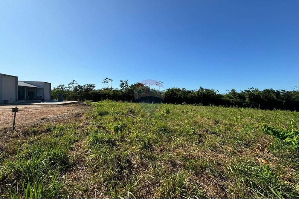 Terreno - Venda - Piçarra , Pará - WhatsApp Image 2024-07-18 at 17.06.56.jpeg - 720991002-131