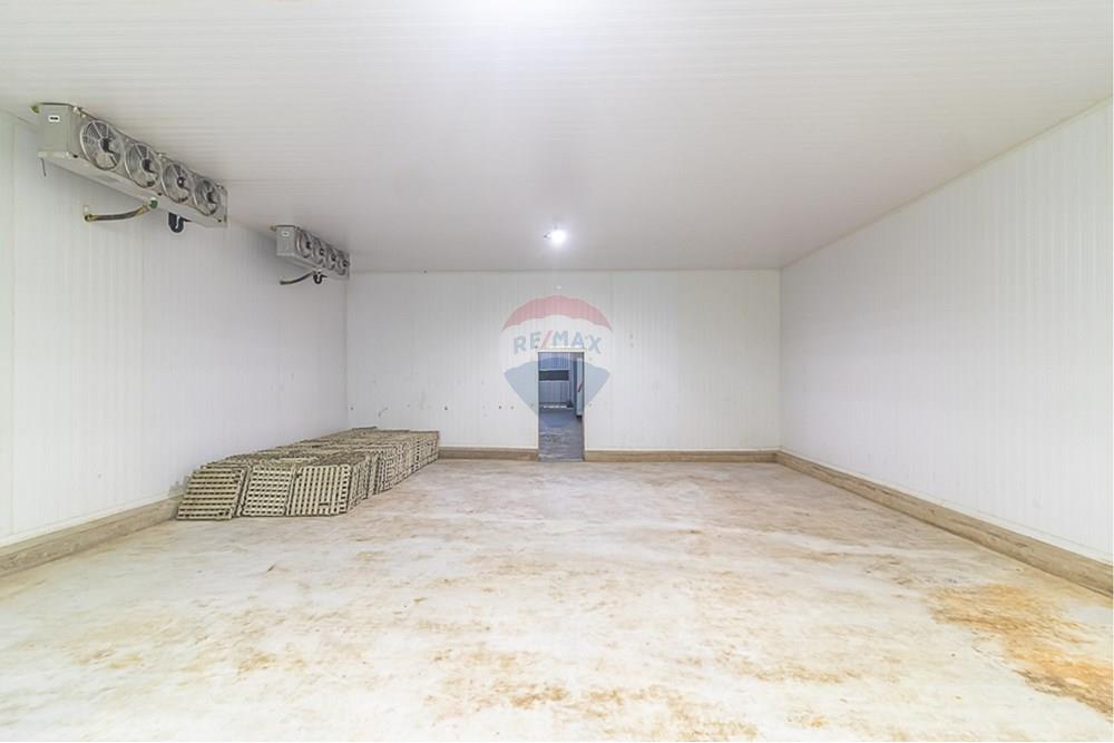 Galpão - Venda - Distrito de Icoaraci , Pará - IMG_5821.jpg - 720921067-61