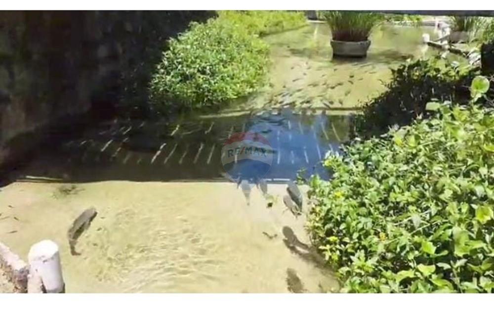 Chácara / Sítio / Fazenda - Venda - Nísia Floresta , Rio Grande do Norte - WhatsApp Image 2025-04-05 at 17.56.50.jpeg - 720731020-103