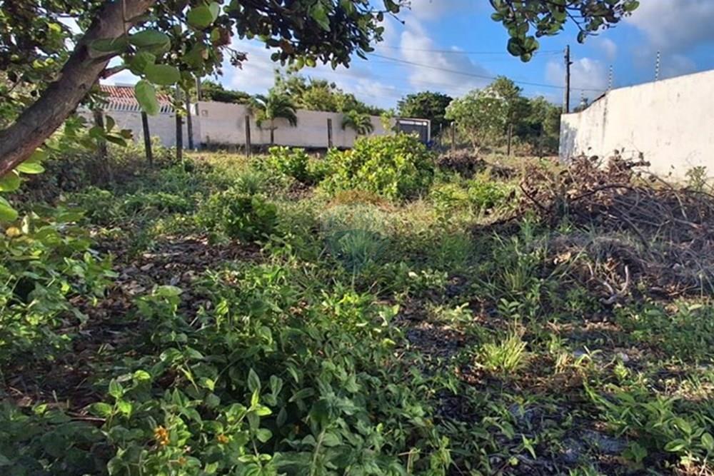 Terreno - Venda - Conde , Paraíba - 8aeef6a9-4a50-4421-9621-f72db3c1b917.jpeg - 720871044-98