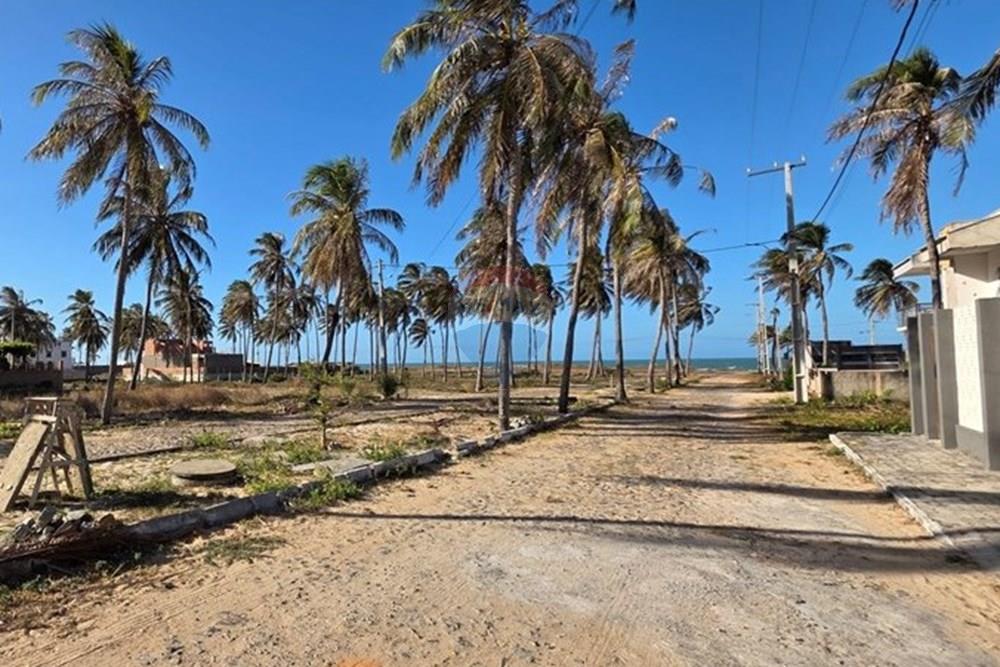Terreno - Venda - Trairi , Ceará - 1000189533.jpg - 722341001-103