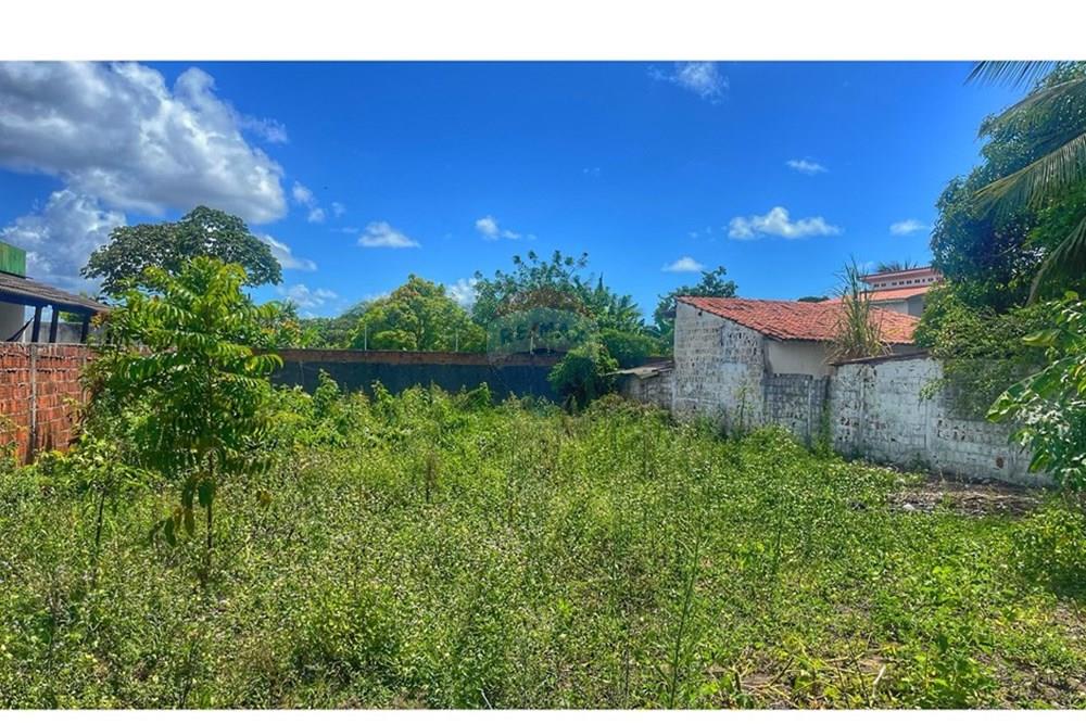 Terreno - Venda - Conde , Paraíba - WhatsApp Image 2025-04-23 at 09.53.56 (1).jpeg - 720871004-192