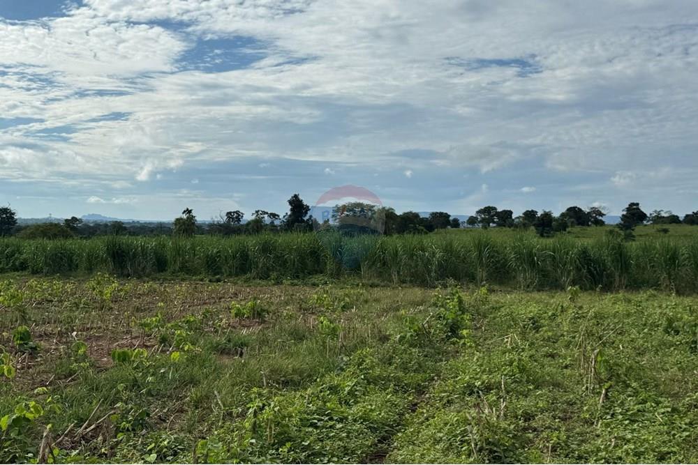Chácara / Sítio / Fazenda - Venda - São José do Povo , Mato Grosso - IMG-20250407-WA0073.jpg - 720851027-112