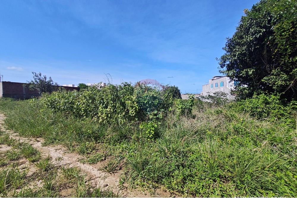 Residencial - Terreno - Conde , Paraíba - BR - 1000525094.jpg - 720871009-181