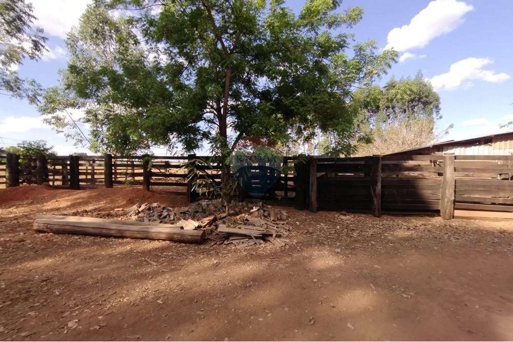 Chácara / Sítio / Fazenda - Venda - Sinop , Mato Grosso - WhatsApp Image 2025-08-07 at 14.46.30 (1).jpeg - 721561039-35