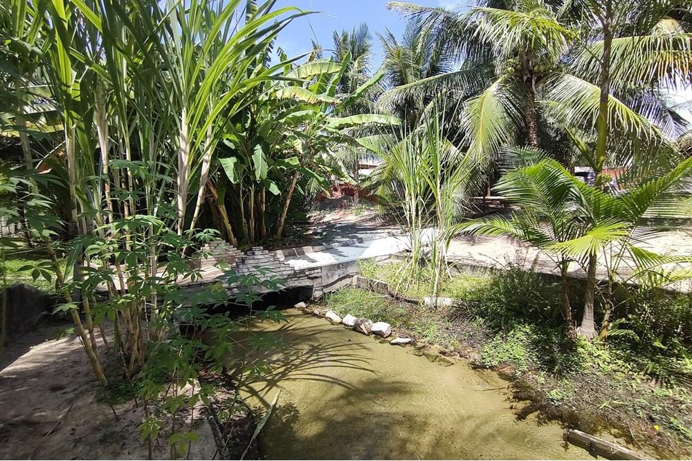 Chácara / Sítio / Fazenda - Venda - Nísia Floresta , Rio Grande do Norte - WhatsApp Image 2025-06-05 at 15.28.54.jpeg - 720731020-103