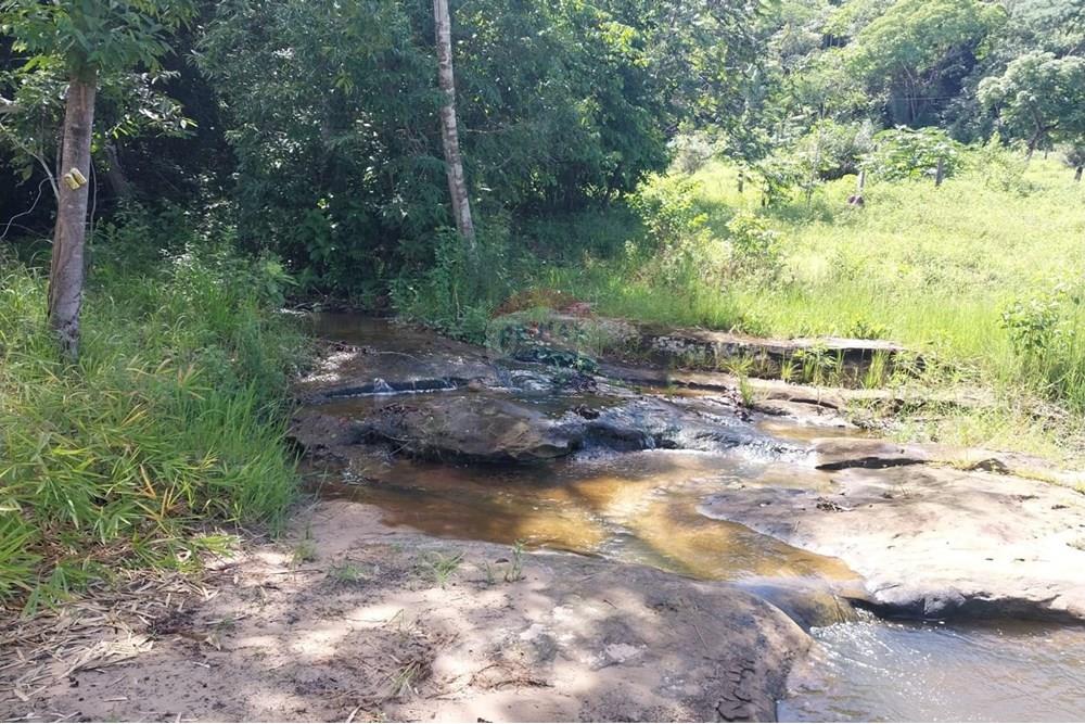 Chácara / Sítio / Fazenda - Venda - Rondonópolis , Mato Grosso - Imagem do WhatsApp de 2025-04-03 à(s) 17.02.37_70b9ef7f.jpg - 722261002-10