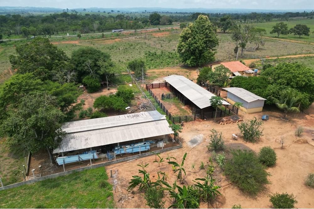 Fazenda - Venda - Nova Olinda , Tocantins - WhatsApp Image 2024-11-29 at 16.16.47.jpeg - 720991010-57