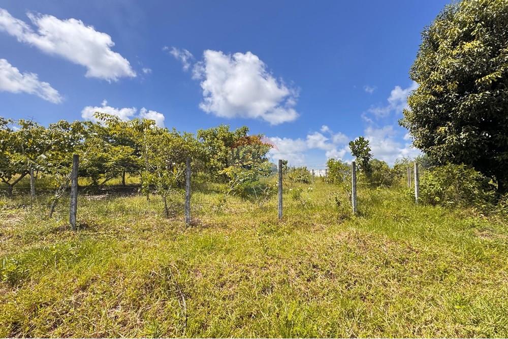 Terreno - Venda - Conde , Paraíba - 12.jpg - 720471011-115