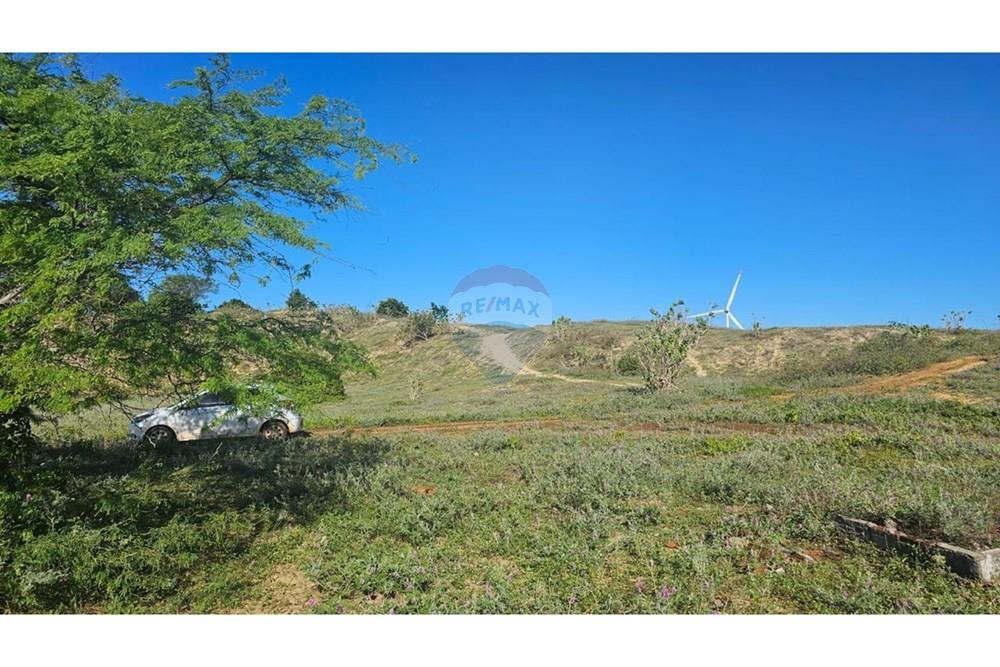 Terreno - Venda - São Miguel do Gostoso , Rio Grande do Norte - WhatsApp Image 2025-07-21 at 06.42.50.jpeg - 720891215-8